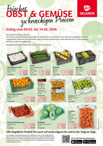 SELGROS Prospekt - Frischeangebot
