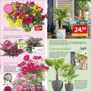Gartencenter Augsburg Prospekt Seite 3