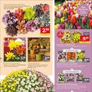 Gartencenter Augsburg Prospekt Seite 3