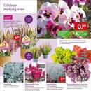 Gartencenter Augsburg Prospekt Seite 2