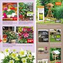 Gartencenter Augsburg Prospekt Seite 3