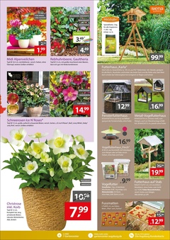 Gartencenter Augsburg Prospekt - Gartencenter Augsburg