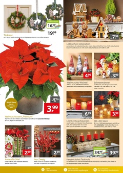 Gartencenter Augsburg Prospekt - Gartencenter Augsburg GmbH & Co. KG