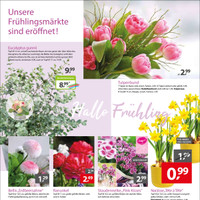 Gartencenter Augsburg Prospekt Seite 2