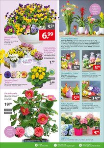 Gartencenter Augsburg Prospekt - Gartencenter Augsburg GmbH & Co. KG