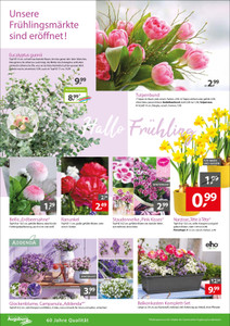 Gartencenter Augsburg Prospekt - Angebote ab 07.03.