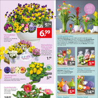 Gartencenter Augsburg Prospekt Seite 3