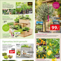 Gartencenter Augsburg Prospekt Seite 5