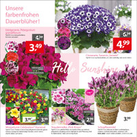 Gartencenter Augsburg Prospekt Seite 2
