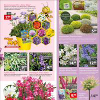 Gartencenter Augsburg Prospekt Seite 3