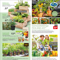 Gartencenter Augsburg Prospekt Seite 5
