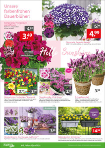 Gartencenter Augsburg Prospekt - Angebote ab 11.04.