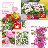 Gartencenter Augsburg Prospekt Seite 2
