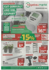 hagebaumarkt Prospekt - gültig vom 26.8. bis 2.9.
