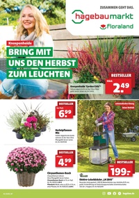hagebaumarkt Prospekt - 2023/37 | Hagebaurmarkt Häsele | FL34