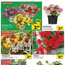 hagebaumarkt Prospekt Seite 2