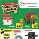 hagebaumarkt Prospekt Seite 2