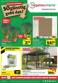hagebaumarkt Prospekt - Angebote ab 04.07.