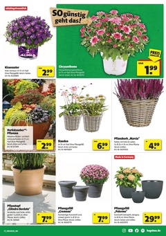 hagebaumarkt Prospekt - Angebote ab 29.08.