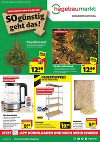 hagebaumarkt Prospekt - Angebote ab 25.10.