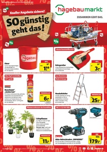 Hagebau Prospekt - Knaller Angebote sichern? So günstig geht das!