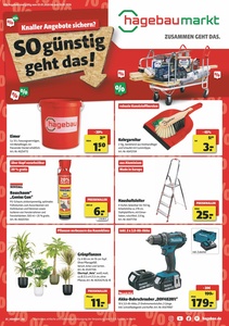 hagebaumarkt Prospekt - Hagebaumarkt Aktion 03.01-10.01.2026