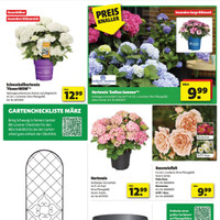 hagebaumarkt Prospekt Seite 3