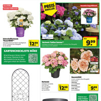 hagebaumarkt Prospekt Seite 3