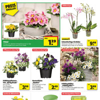 hagebaumarkt Prospekt Seite 2