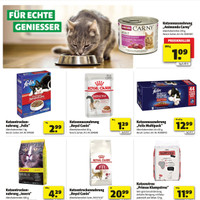 hagebaumarkt Prospekt Seite 22