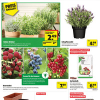 hagebaumarkt Prospekt Seite 4