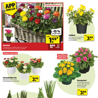 hagebaumarkt Prospekt Seite 2