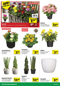 hagebaumarkt Prospekt - Angebote ab 21.03. - Seite 2