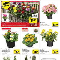 hagebaumarkt Prospekt Seite 2