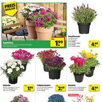 hagebaumarkt Prospekt Seite 2