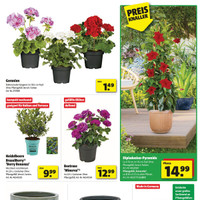 hagebaumarkt Prospekt Seite 3