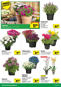 hagebaumarkt Prospekt - Gartenglück - Seite 2