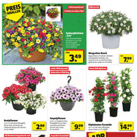 hagebaumarkt Prospekt Seite 2