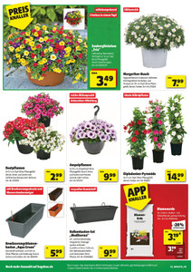 hagebaumarkt Prospekt - Angebote ab 10.04.