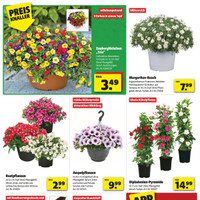 hagebaumarkt Prospekt Seite 2