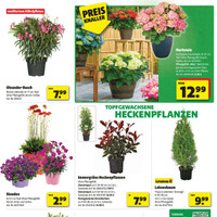 hagebaumarkt Prospekt Seite 3