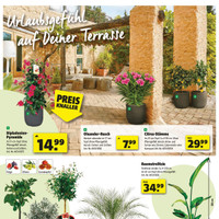 hagebaumarkt Prospekt Seite 2