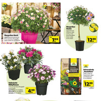 hagebaumarkt Prospekt Seite 6