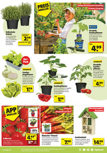 hagebaumarkt Prospekt - Angebote ab 17.04.