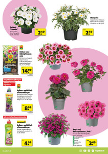 hagebaumarkt Prospekt - Angebote ab 17.04.