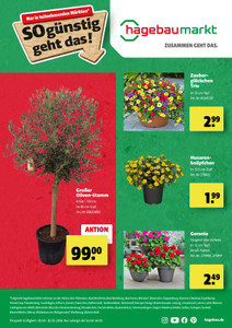 hagebaumarkt Prospekt - Angebote ab 21.04. - Seite 1
