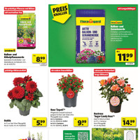 hagebaumarkt Prospekt Seite 3