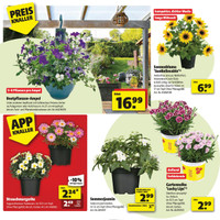 hagebaumarkt Prospekt Seite 2