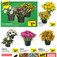 hagebaumarkt Prospekt Seite 2