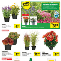hagebaumarkt Prospekt Seite 3